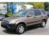 2002 Mojave Mist Metallic Honda CR-V EX 4WD #69841779