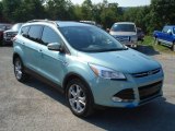 Frosted Glass Metallic Ford Escape in 2013