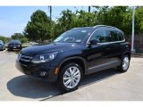 2013 Volkswagen Tiguan SE