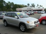 2007 Classic Silver Metallic Toyota RAV4 Limited 4WD #69841281