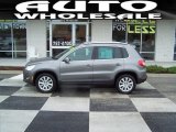 2010 Alpine Grey Metallic Volkswagen Tiguan SEL #69905026