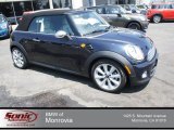 2013 Reef Blue Metallic Mini Cooper Convertible #69949466