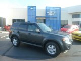 2009 Sterling Grey Metallic Ford Escape XLT V6 4WD #69949374