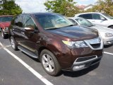 Ionized Bronze Metallic Acura MDX in 2010