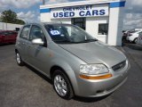 2004 Galaxy Silver Metallic Chevrolet Aveo LS Hatchback #69998161