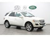 2010 Mercedes-Benz ML 350 4Matic