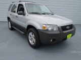 2006 Silver Metallic Ford Escape XLT V6 #69997587