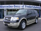 2007 Carbon Metallic Ford Expedition Eddie Bauer #6965157