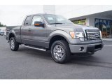 2012 Sterling Gray Metallic Ford F150 XLT SuperCab 4x4 #70081218