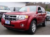 2008 Redfire Metallic Ford Escape XLT V6 4WD #6962843