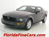 2008 Alloy Metallic Ford Mustang V6 Deluxe Coupe #6957368
