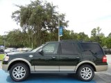 Green Gem Metallic Ford Expedition in 2012