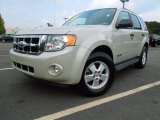 2008 Ford Escape XLT V6