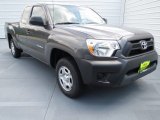 Pyrite Mica Toyota Tacoma in 2013