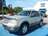 2004 Silver Birch Metallic Ford Expedition XLT #70310806