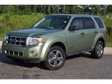 2008 Ford Escape XLT V6 Data, Info and Specs