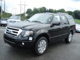 Tuxedo Black Ford Expedition in 2013
