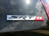 2010 Chrysler 300 SRT8 Marks and Logos