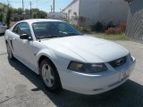 2004 Oxford White Ford Mustang V6 Coupe #70352411