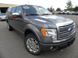 2010 Sterling Grey Metallic Ford F150 Platinum SuperCrew 4x4 #70352615