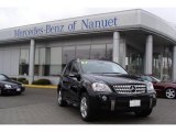 2007 Mercedes-Benz ML 350 4Matic