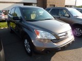 2009 Borrego Beige Metallic Honda CR-V EX 4WD #70407636