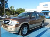 Golden Bronze Metallic Ford Expedition in 2012