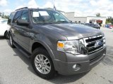 2011 Sterling Grey Metallic Ford Expedition XLT #70407166