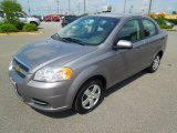 2010 Medium Gray Chevrolet Aveo LT Sedan #70407434