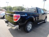 2012 Tuxedo Black Metallic Ford F150 XLT SuperCab 4x4 #70407349