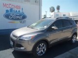 2013 Sterling Gray Metallic Ford Escape SEL 1.6L EcoBoost #70561960