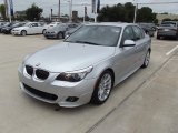 2010 Titanium Silver Metallic BMW 5 Series 528i Sedan #70570291