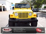 2003 Jeep Wrangler X 4x4