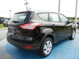 Kodiak Brown Metallic Ford Escape in 2013