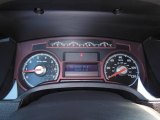 2010 Ford F150 Harley-Davidson SuperCrew 4x4 Gauges