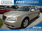 2010 Hyundai Sonata GLS