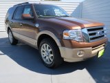 2012 Golden Bronze Metallic Ford Expedition King Ranch #70618015