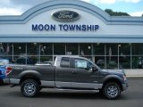 2012 Sterling Gray Metallic Ford F150 XLT SuperCab 4x4 #70617969