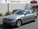 2010 Platinum Bronze Metallic BMW 5 Series 528i Sedan #70687292