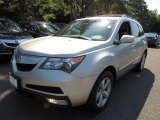 2010 Acura MDX 