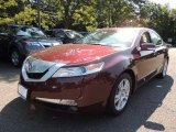 2010 Basque Red Pearl Acura TL 3.5 #70687916