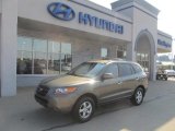 2007 Hyundai Santa Fe GLS