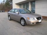 2006 Golden Beige Hyundai Sonata GLS V6 #7067375