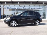 2010 Mercedes-Benz ML 350