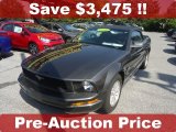 2008 Alloy Metallic Ford Mustang V6 Deluxe Convertible #70818131