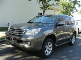 2010 Lexus GX 460