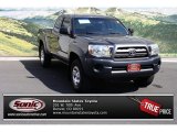 2009 Magnetic Gray Metallic Toyota Tacoma V6 Access Cab 4x4 #71009745