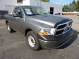 Mineral Gray Metallic Dodge Ram 1500 in 2009