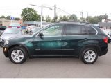 Deep Green Metallic BMW X5 in 2009
