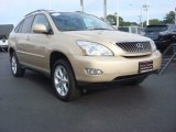 2009 Golden Almond Metallic Lexus RX 350 AWD #71132675